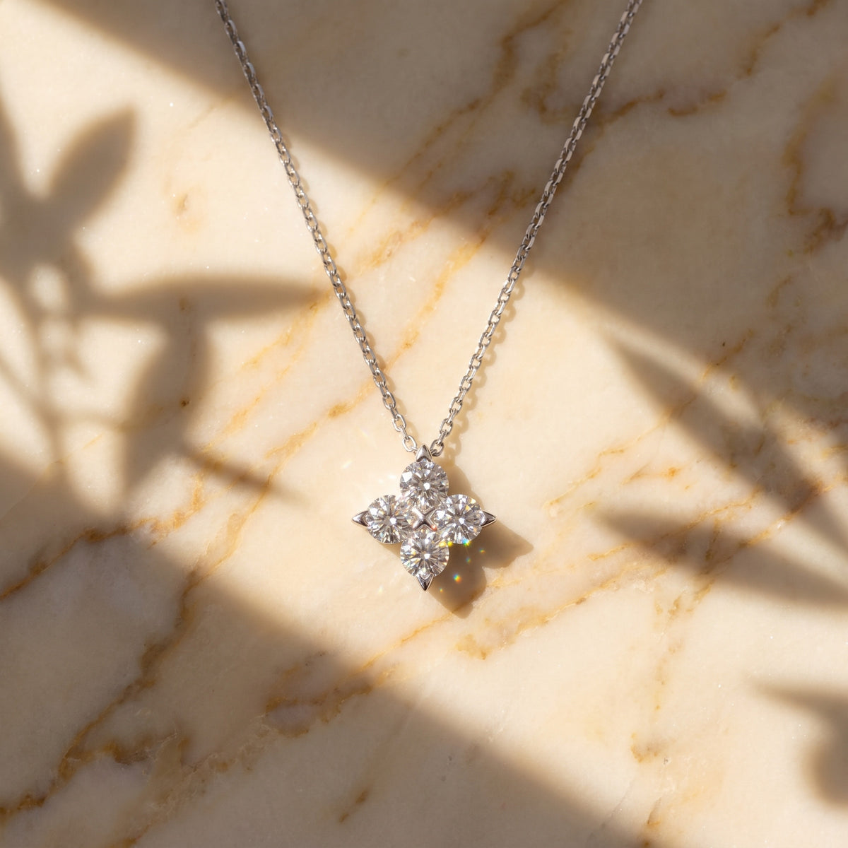 On warm honey-veined marble with the shadow of a window and leaves falling across it, golden morning sun.