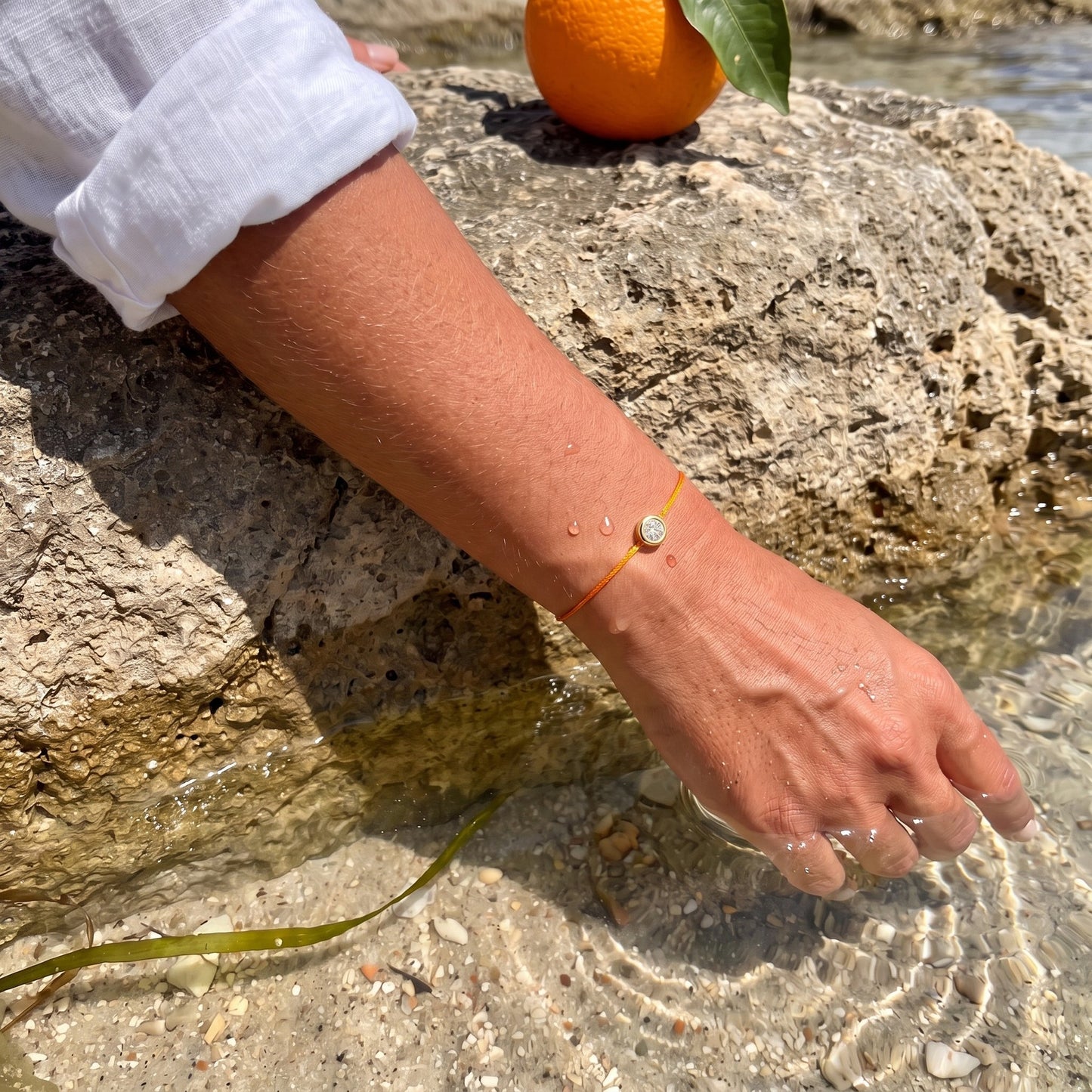 marigold: Against terracotta