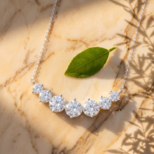 silver: The necklace